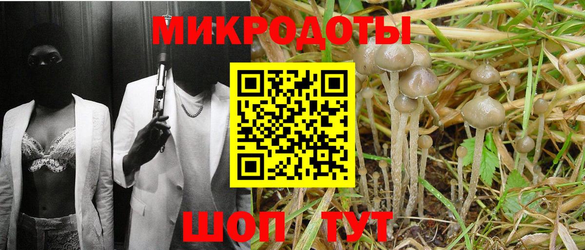 Галлюциногенные грибы ЛСД Невинномысск